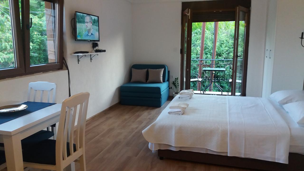 Vasiliki Apartment Virpazar Exterior photo
